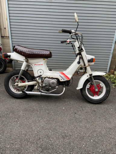 シャリー！シート新品！