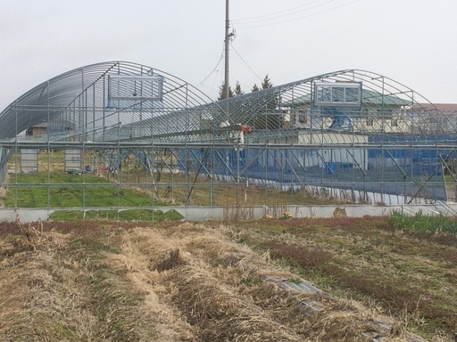 農業用ビニールハウス