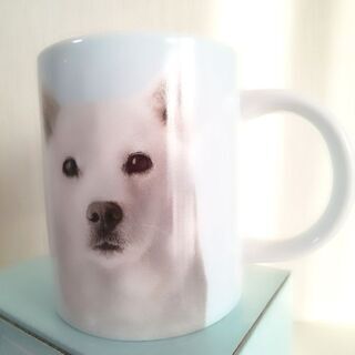 新品✨箱入り 　 SoftBank　お父さん　マグカップの画像