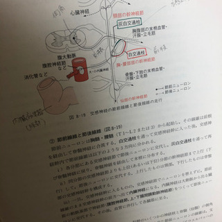 解剖学　第2版の画像