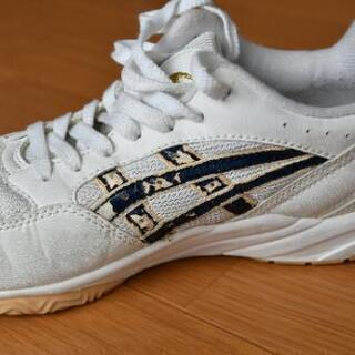 【終了】バレーシューズ(体育館シューズ)  26.0cm の画像