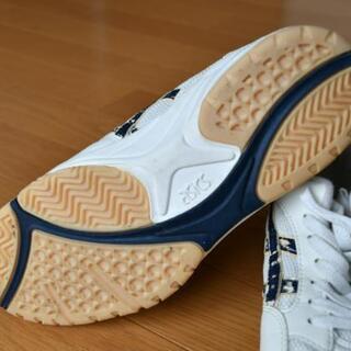 【終了】バレーシューズ(体育館シューズ)  26.0cm の画像