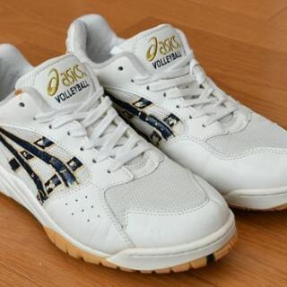 【終了】バレーシューズ(体育館シューズ)  26.0cm 