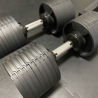 FLEXBELL32 ダンベル二個 スタンド付き