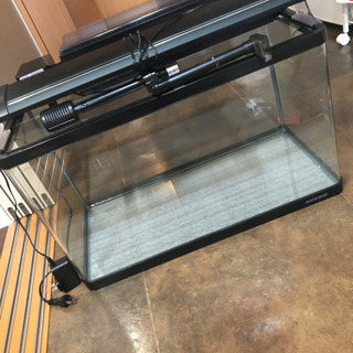 最終値下げ！早い者勝ち60cm 水槽 付属品多数！の画像