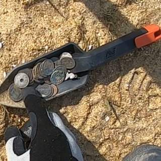 金属探知機でトレジャーハンター募集 - その他
