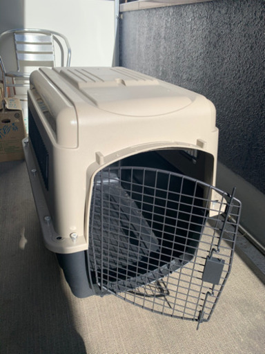 犬小屋