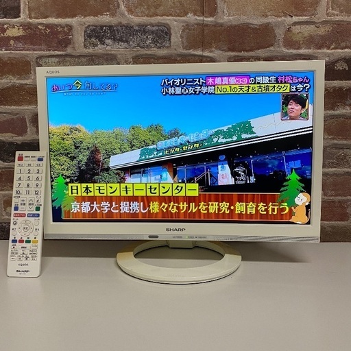 即日受渡❣️3年使用LED19型WチューナホワイトAQUOS スマホ動画