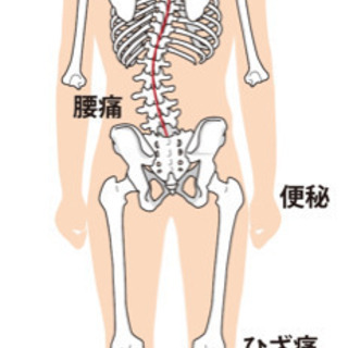 今だから【カイロプラクティック】で歪みのケア