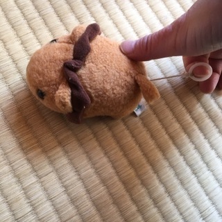 音がなる子ども用楽器と震えるおもちゃの画像