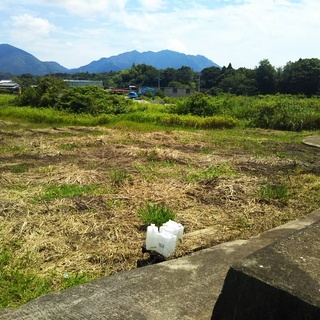🆕大分市横瀬の田んぼ('◇')ゞナンボ？農業用地ですよー - 不動産