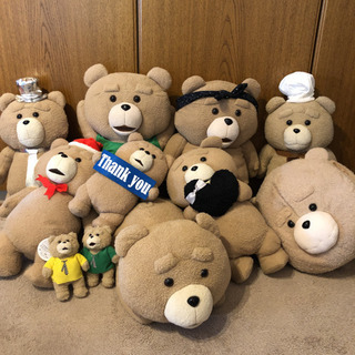 テッド ぬいぐるみ 21匹の画像
