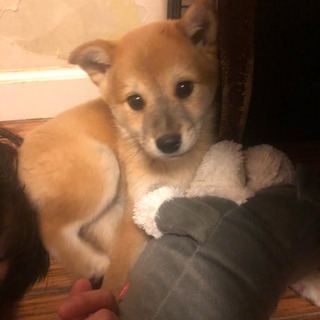 まだ3カ月の可愛い男の子
