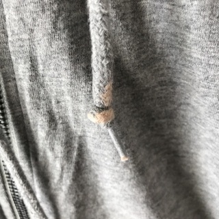 チャンピオンのパーカーの画像