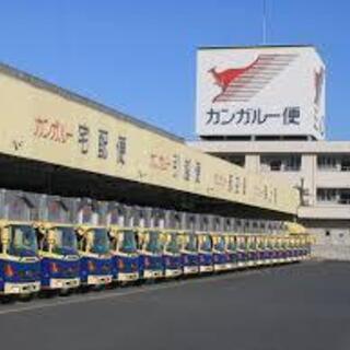 カンガルー便の構内での仕分け作業などの画像