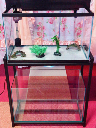 60cm水槽 フィルター セット