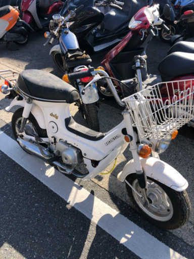 HONDA  シャリー　CF70-222