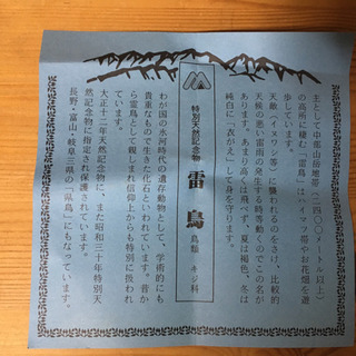 雷鳥 木彫りの画像