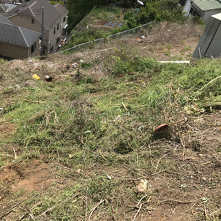 急募！草刈補助　刈草集め積込　横浜市南区南太田