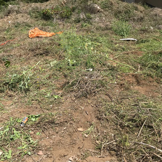 急募！草刈補助　刈草集め積込　横浜市南区南太田の画像