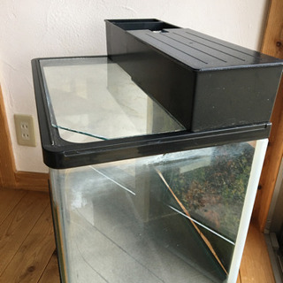 ガラス水槽一式の画像