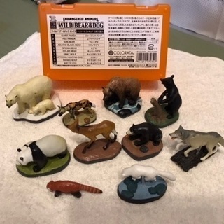 カロラータワイルドベアー＆ドッグボックス10種の画像