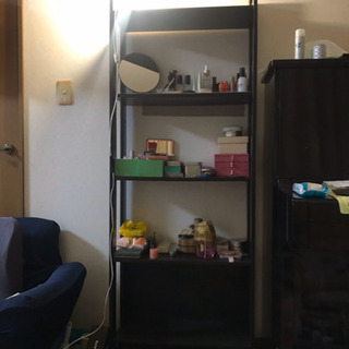 本棚、棚