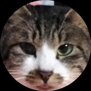 PC関連ヘルプ（Windows ）