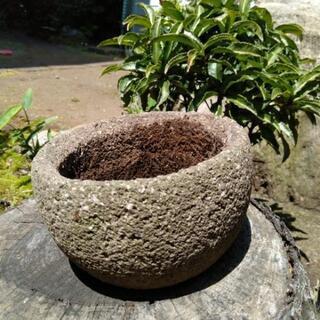 【ご成約済み】丸石の植木鉢　軽石