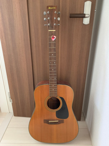 決まりました‼︎アコースティックギター　ピック付き