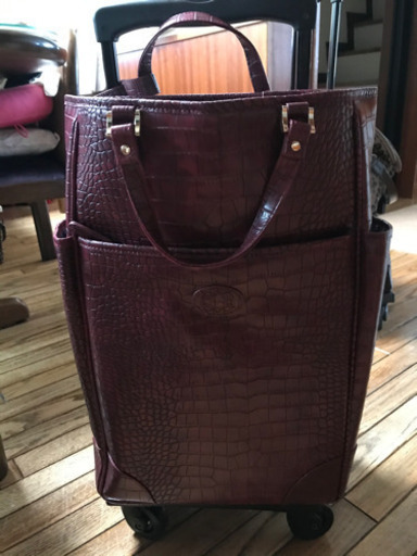 スワニーキャリーバック