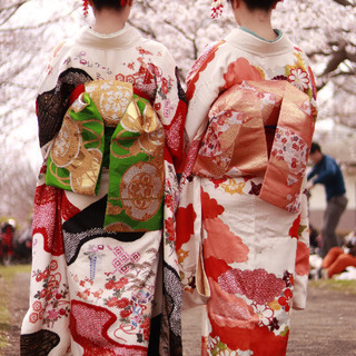 誰でもできる日本舞踊・新舞踊教室の画像
