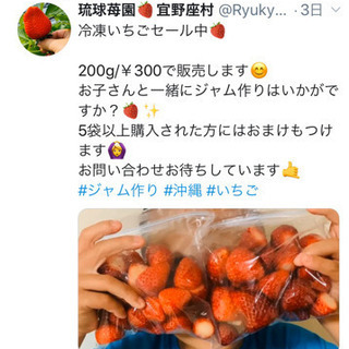 いちご(琉球苺園)