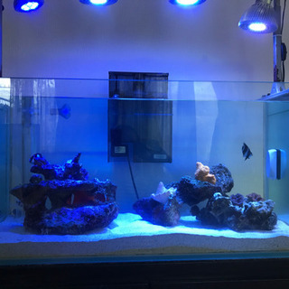 90cmオーバーフロー水槽