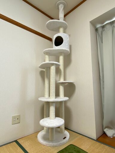 【ほぼ新品】Mauのキャットタワー（トルテ）譲ります！
