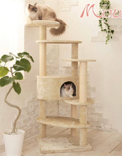 Mau キャットタワー (大型ねこOK！)