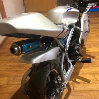 ポケバイの画像