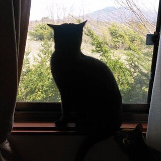 人大好き & カッコいい子です☆ − 山梨県