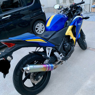 CBR250R モリワキカラー　エンジン好調の画像