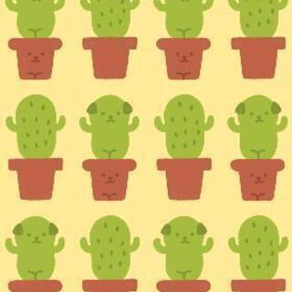 電気カーペット