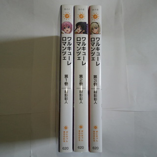 小説 ラノベ ワルキューレロマンツェ 全3巻