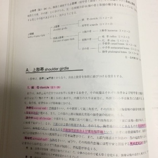 日本人体解剖学 上巻の画像