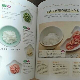 いちばんやさしいきほんの離乳食 : おかゆ1さじからスタートする初めてのごはんの画像