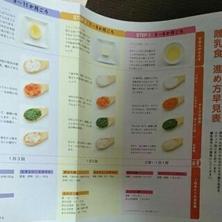 いちばんやさしいきほんの離乳食 : おかゆ1さじからスタートする初めてのごはんの画像
