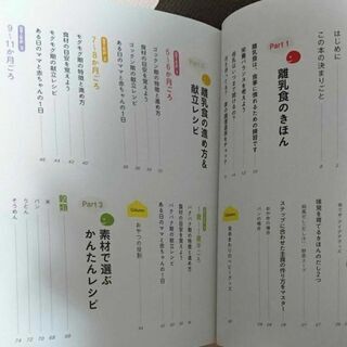 いちばんやさしいきほんの離乳食 : おかゆ1さじからスタートする初めてのごはんの画像