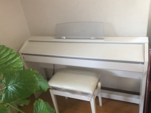 CASIO 電子ピアノ