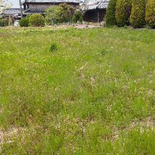 山口市　草刈り致します。