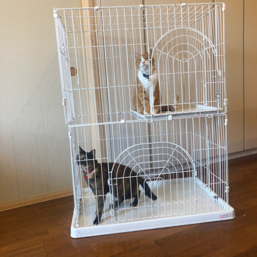 定価10000円 ペットケージ 2段 猫 小型犬 アイリスオーヤマ ホワイト 部品欠品