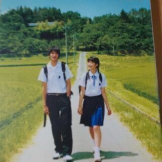 天然コケッコー(夏帆)くらもちふさこ原作