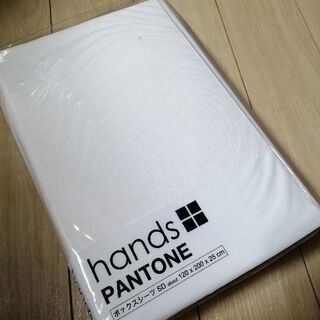 本日まで！の画像